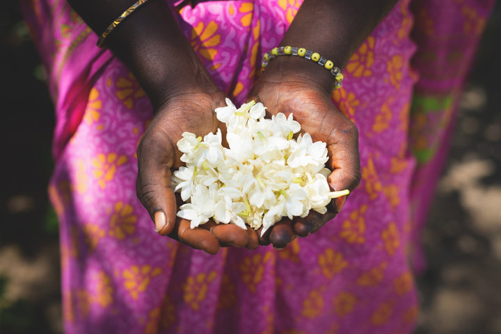 Fight Sex Trafficking